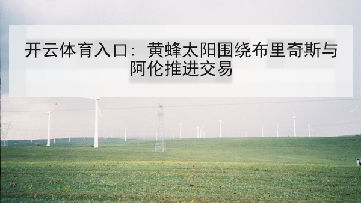 开云体育入口: 黄蜂太阳围绕布里奇斯与阿伦推进交易