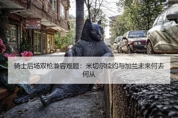 qi-shi-hou-chang-shuang-qiang-jian-rong-nan-ti-mi-qie-er-xu-yue-yu-jia-lan-wei-lai-he-qu-he-cong-2-258.jpg